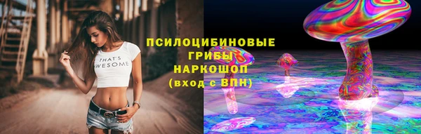 прущие крисы Козельск