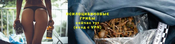 альфа пвп Коряжма