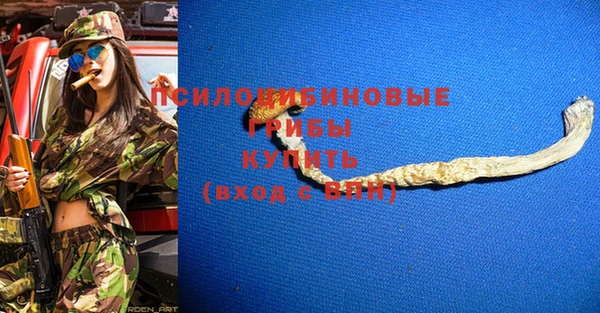 прущие крисы Козельск
