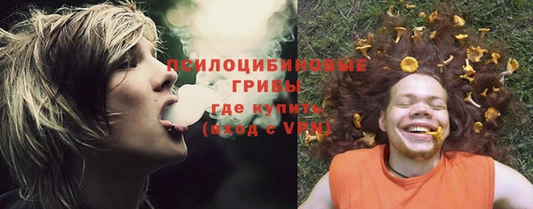 альфа пвп Коряжма